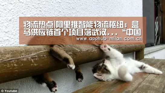 物流热点|阿里推智能物流枢纽;盒马供应链首个项目落武汉...“中国官网”(图1) 官方网站