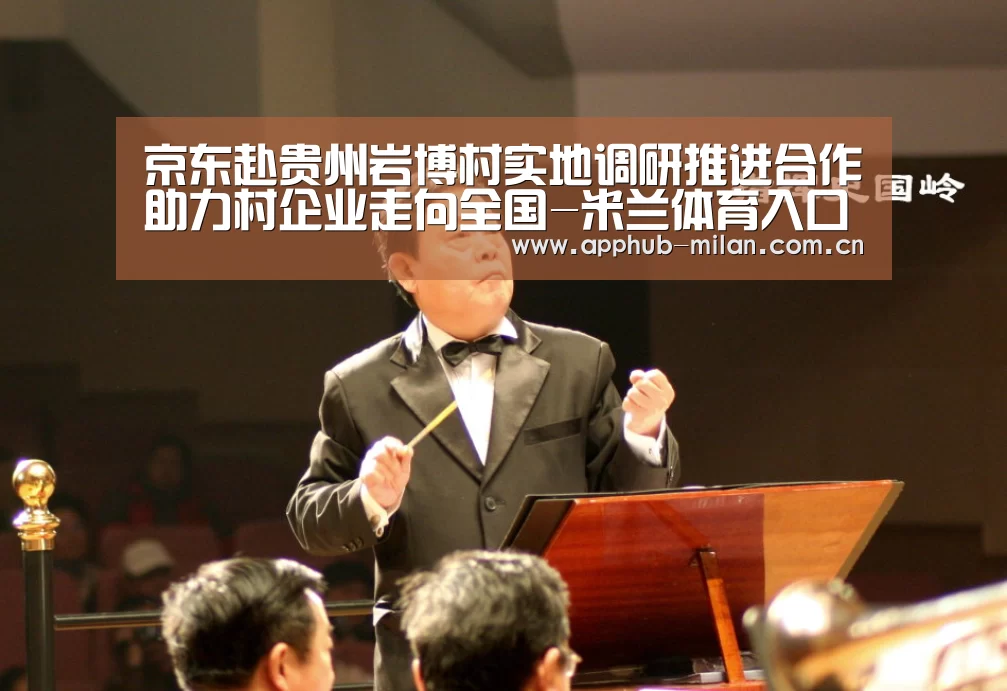 京东赴贵州岩博村实地调研推进合作助力村企业走向全国-米兰体育入口(图1) 官方网站